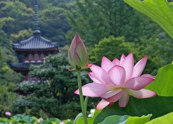 LẠC NẺO ĐƯỜNG TRẦN