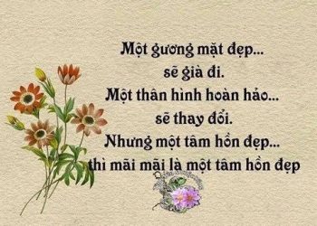 Một đời người thật ra không dài lắm