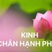 KINH CHÂN HẠNH PHÚC – (Maha Mangala Sutta)
