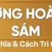 Ý NGHĨA VÀ CÁCH TRÌ TỤNG KINH LƯƠNG HOÀNG SÁM