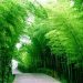 BÀI HỌC SINH ĐỘNG VỀ CUỘC SỐNG