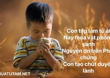 NGHI THỨC PHÓNG SANH – CHÙA TỰ TÂM – TP. BMT SOẠN TẬP