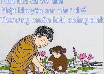 CÔNG ĐỨC PHÓNG SINH & PHƯƠNG THỨC PHÓNG SINH ĐÚNG CÁCH