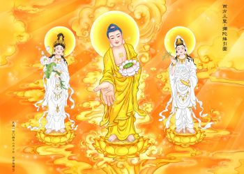 Phật Thuyết Kinh Quán Vô Lượng Thọ Phật (Phim Hoạt Hình Phật Giáo)