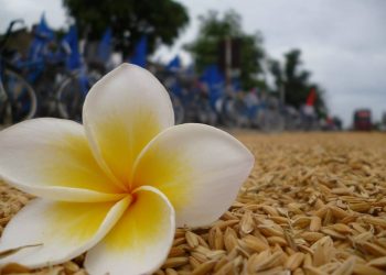 HỌC CÁCH IM LẶNG