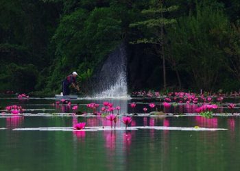 SỐNG LÀ SỰ LỰA CHỌN THÁI ĐỘ CỦA BẢN THÂN