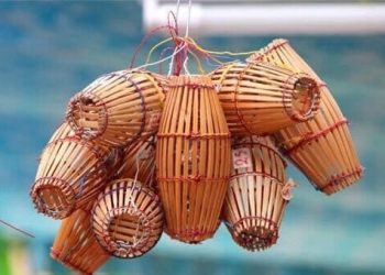 … ✿ … Con lươn và con cá chép bị mắc bẫy … ✿ …