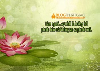 ĐỪNG HƯỞNG HẾT PHƯỚC BÁU