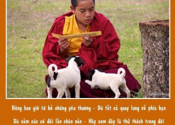 Bốn Điều Cần Ghi Nhớ Để Vượt Qua Những Sóng Gió Trong Cuộc Đời