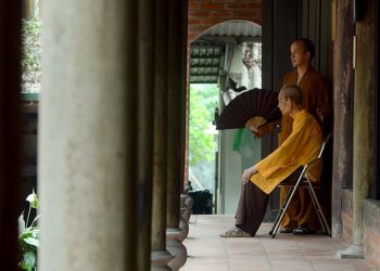 Dáng tùng vững chãi giữa tuyết sương