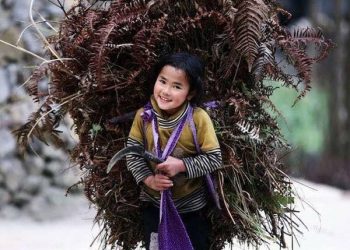 TÌM MỘT PHÚT BÌNH YÊN