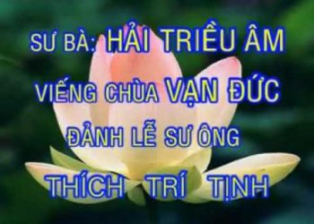 [Video] SƯ BÀ HẢI TRIỀU ÂM – MỘT ĐỜI HÀNH BÁT KỈNH PHÁP – ĐẢNH LỄ SƯ ÔNG TRÍ TỊNH VÀ VIẾNG THĂM CHÙA VẠN ĐỨC