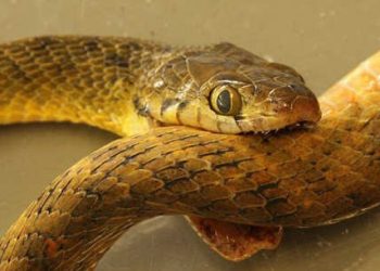 ĐỪNG TỰ LÀM TỔN THƯƠNG CHÍNH MÌNH