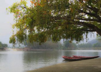 KHỔ ĐAU & HẠNH PHÚC