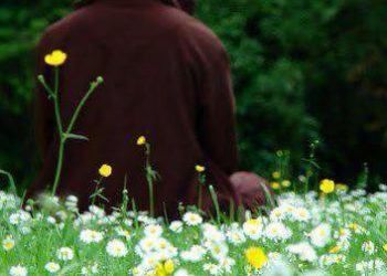 NẾU YÊU LÀ NGHĨA SỐNG