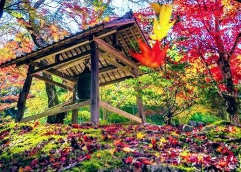 RỒI THÌ… TA GẶT NHỮNG GÌ ĐÃ GIEO.