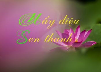 [Video] Mấy Điệu Sen Thanh – HT. Thích Thiền Tâm dịch