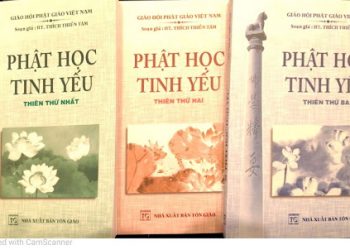 Phật Học Tinh Yếu Pdf | Hòa Thượng Thích Thiền Tâm