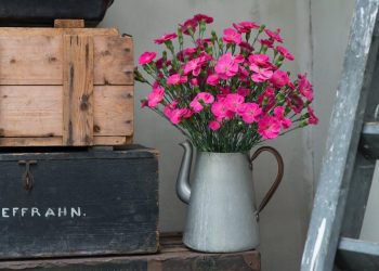 Sống thuận lẽ tự nhiên