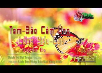 [Video] Tam Bảo Cảm Ứng Yếu Lược Lục [三寶感應要略錄]