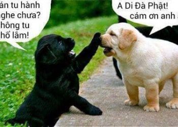 HẠNH PHÚC LÀ GÌ HẢ MẸ ?