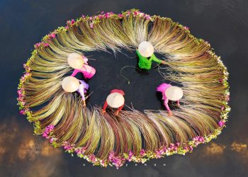 Viết Về Cuộc Sống…