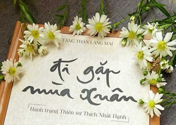 THẦY ĐÃ ĐI RỒI | Thơ Thầy Nguyên Hiền || Hình Ảnh – THẦY ĐÃ VỀ ĐÃ TỚI LÀNG MAI, NƯỚC PHÁP