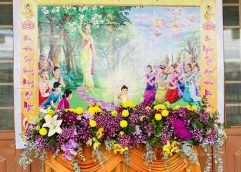 HOA SEN PHẬT ĐẢN | Thi Phượng | Nhạc Hoa Lời Việt: Lê Tiến Tiền