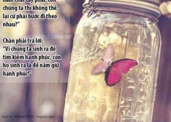 Tình Yêu Chân Thật