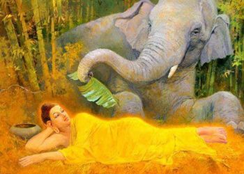 Cúng dường Tam Bảo đúng đắn và lợi ích