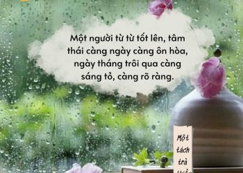 Cuộc sống là một quá trình từ từ thức tỉnh.