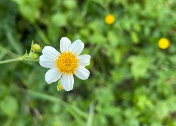 Mấy ngày gần đây chúng ta đón nhận quá nhiều tin tức thương tâm phải không bạn?