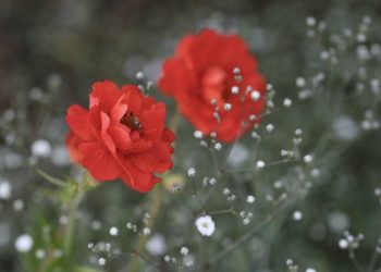 Mới là cuộc đời