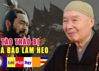 Sự thật Tào Tháo bị quả báo làm Heo & Câu chuyện Rắn Báo thù – Phỏng Vấn Pháp Sư Tịnh Không – Nhân quả báo ứng không sai 1 ly