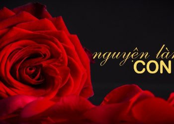 Về tác giả của bài thơ “Mất Mẹ” trong truyện “Bông Hồng Cài Áo” của Thiền sư Nhất Hạnh.