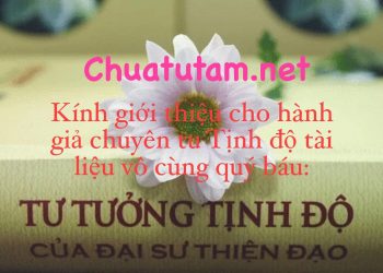 [Video] TƯ TƯỞNG TỊNH ĐỘ CỦA ĐẠI SƯ THIỆN ĐẠO | PHÁP SƯ TỊNH TÔNG | Tài Liệu Quý Báu Cho Hành Giả Tịnh Độ