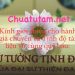 [Video] TƯ TƯỞNG TỊNH ĐỘ CỦA ĐẠI SƯ THIỆN ĐẠO | PHÁP SƯ TỊNH TÔNG | Tài Liệu Quý Báu Cho Hành Giả Tịnh Độ