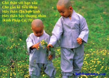 BỐN LOẠI BẠN TRONG KINH PHÁP CÚ