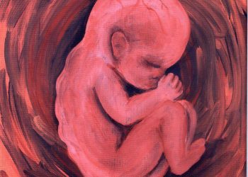 Thư Gửi Mẹ Của Con – Lời Của Một Thai Nhi