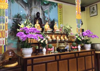 XUÂN TỰ TÂM – QUÝ MÃO 2023