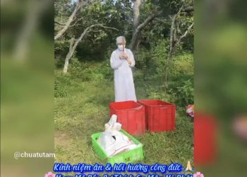 Lễ Phóng Sinh Chư Ngư Tháng 5 Âm Lịch | Chuatutam.net