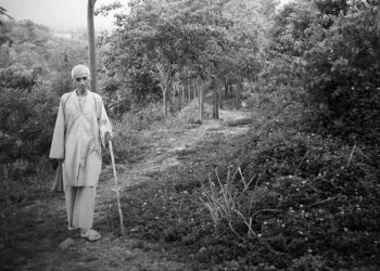 Di chúc & Video Tang lễ Hòa thượng Thích Tuệ Sỹ