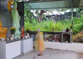 Đạo tràng Tự Tâm tổ chức Lễ phóng sanh chư ngư tháng 7 âm lịch