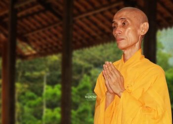 Hòa thượng Thích Tuệ Sỹ vừa viên tịch