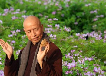 Pháp Thoại | Đi Giữa Mùa Xuân | MÙA XUÂN VÔ LƯỢNG THỌ | HT. Thích Thái Hòa