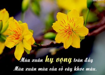 LÁ THƯ NGÀY TẾT