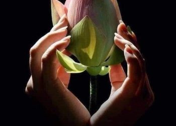 AN THỔ ĐỊA CHÂN NGÔN VÀ ĐỊA THẦN HỘ PHÁP | (Dṛḍhā-pṛthivī-devatā)