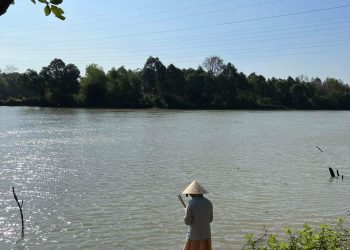 Lễ Phóng Sinh Chư Ngư Ngày Rằm Tháng 2 Năm Giáp Thìn | Chuatutam.net