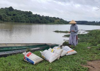 KHUYÊN ĐỪNG GIẾT THÚ | Lễ Phóng Sinh Chư Ngư Cuối Năm Giáp Thìn 2024