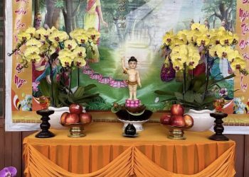 Ý nghĩa Hình ảnh Đức Phật Đản sinh và bảy bước hoa sen